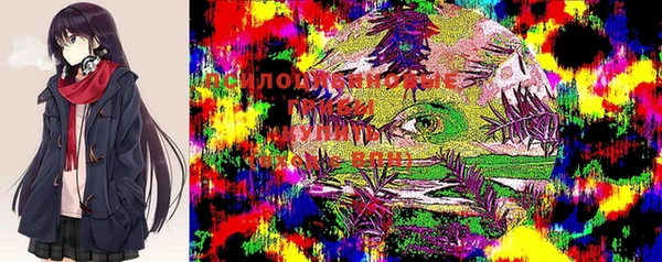 амф Семёнов