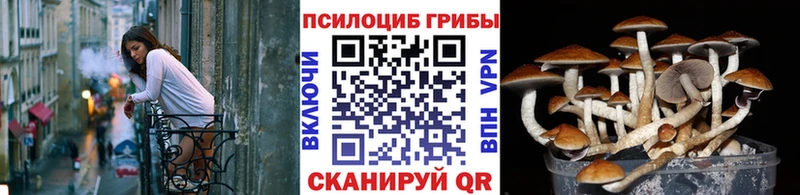 Псилоцибиновые грибы мицелий  Купить закладки  Инта 